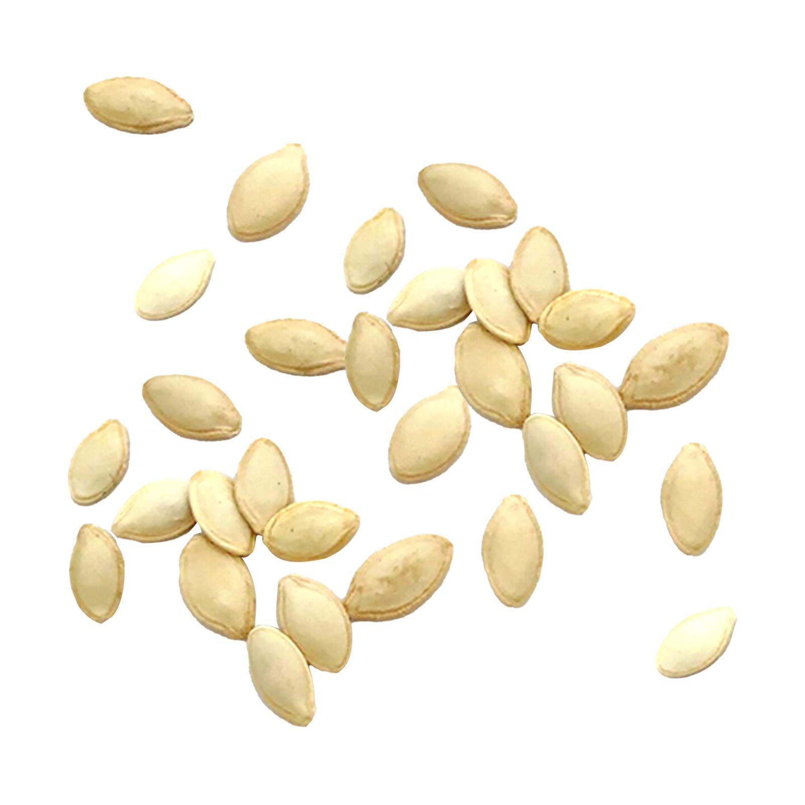 1 Bag of Pumpkin Seeds High Germination Rate Easy to Grow Small Packets of Non-GMO Sweet Melon Seeds for The Garden for Gardening On The Home Farm Pumpkin Seeds One Size