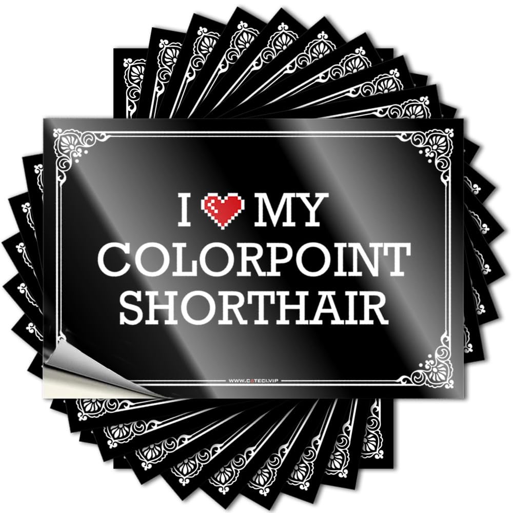 Fzfn Colour Love Bumper Saying | I Love My Colorpoint Shorthair Retro Durable Vinyl Sticker Easy Apply For Christmas(6X9cm)