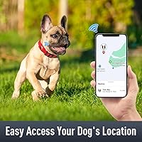 Vista 2 de Airtag - Collar para perro con soporte AirTag para cachorros y perros pequeños, reflectante, acolchado suave y hebilla de bloqueo de seguridad