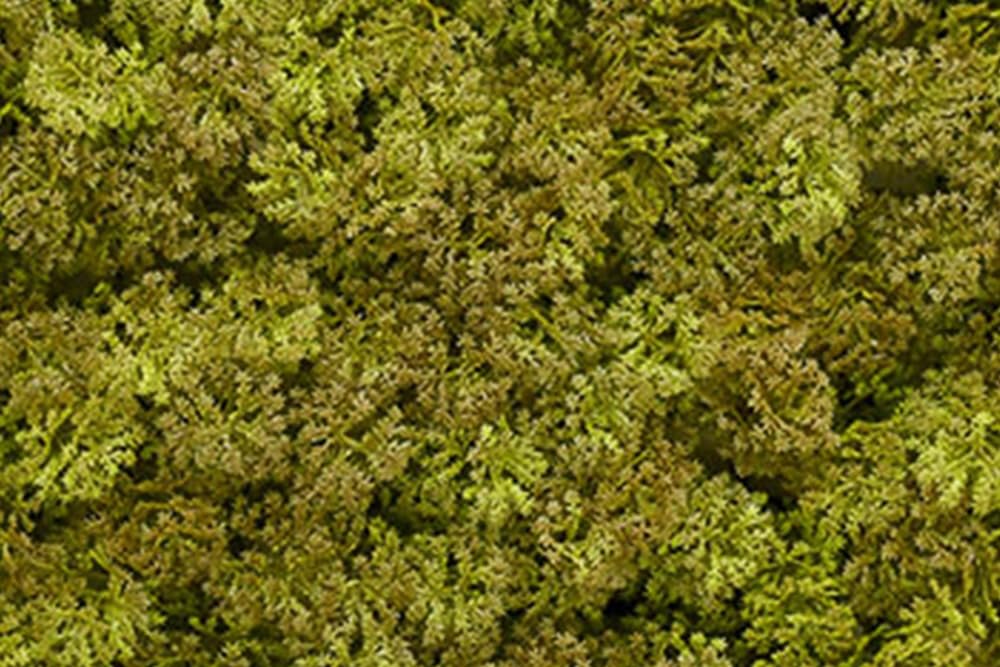 Vivol Panel ścienny sztuczny żywopłot - Vertical Garden Moss - 100 x 100 cm (ciemnozielony)