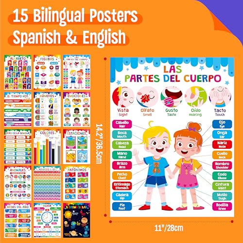 Affiches éducatives bilingues espagnol anglais lot de 15 posters étanches - 5