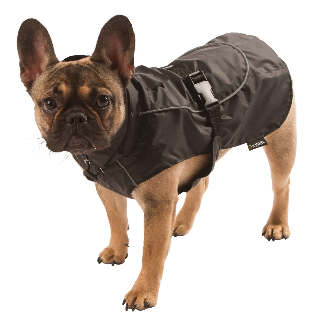 Kerbl Forks Manteau de Pluie pour Chien Noir Taille S