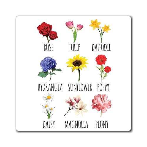 Humorístico Plantación Ilustración Hojas Definición Jardinería Hilarantes Agricultores Planta Gráfica Flores Imanes 4 "x 4"