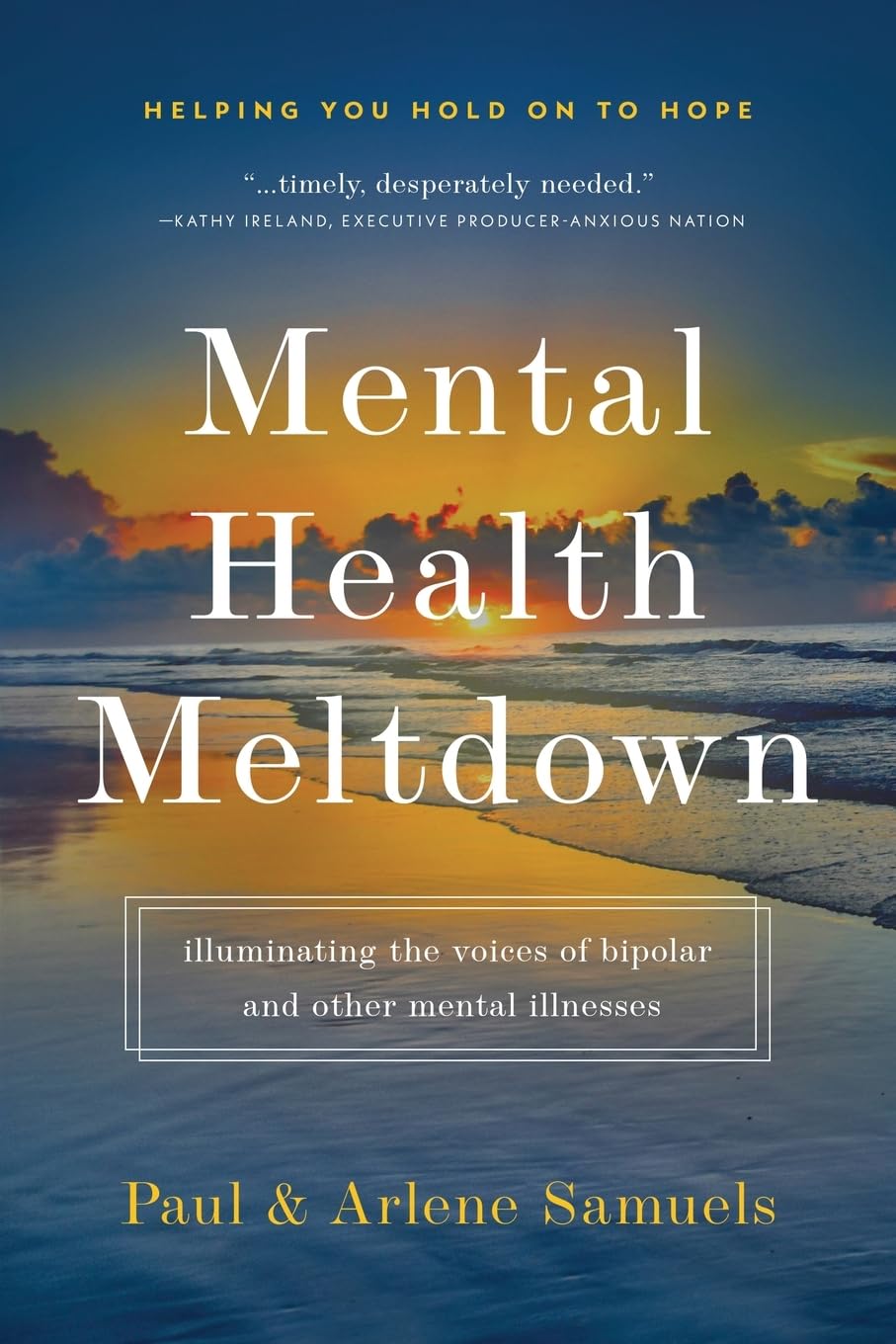 Mental Health Meltdown: Illuminating the Voices of Bipolar and Other Mental IIlnesses