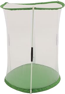 Gaiola ornamental de plantas e insetos, gaiola de habitat de insetos e borboletas de montagem simples cilíndrico portátil para cultivo de insetos