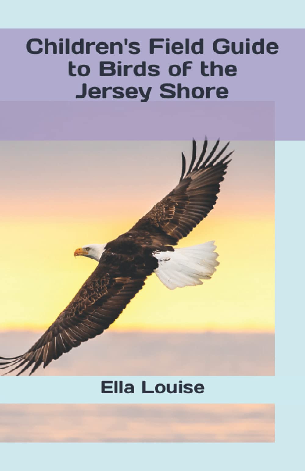Children's Field Guide to Birds of the Jersey Shore