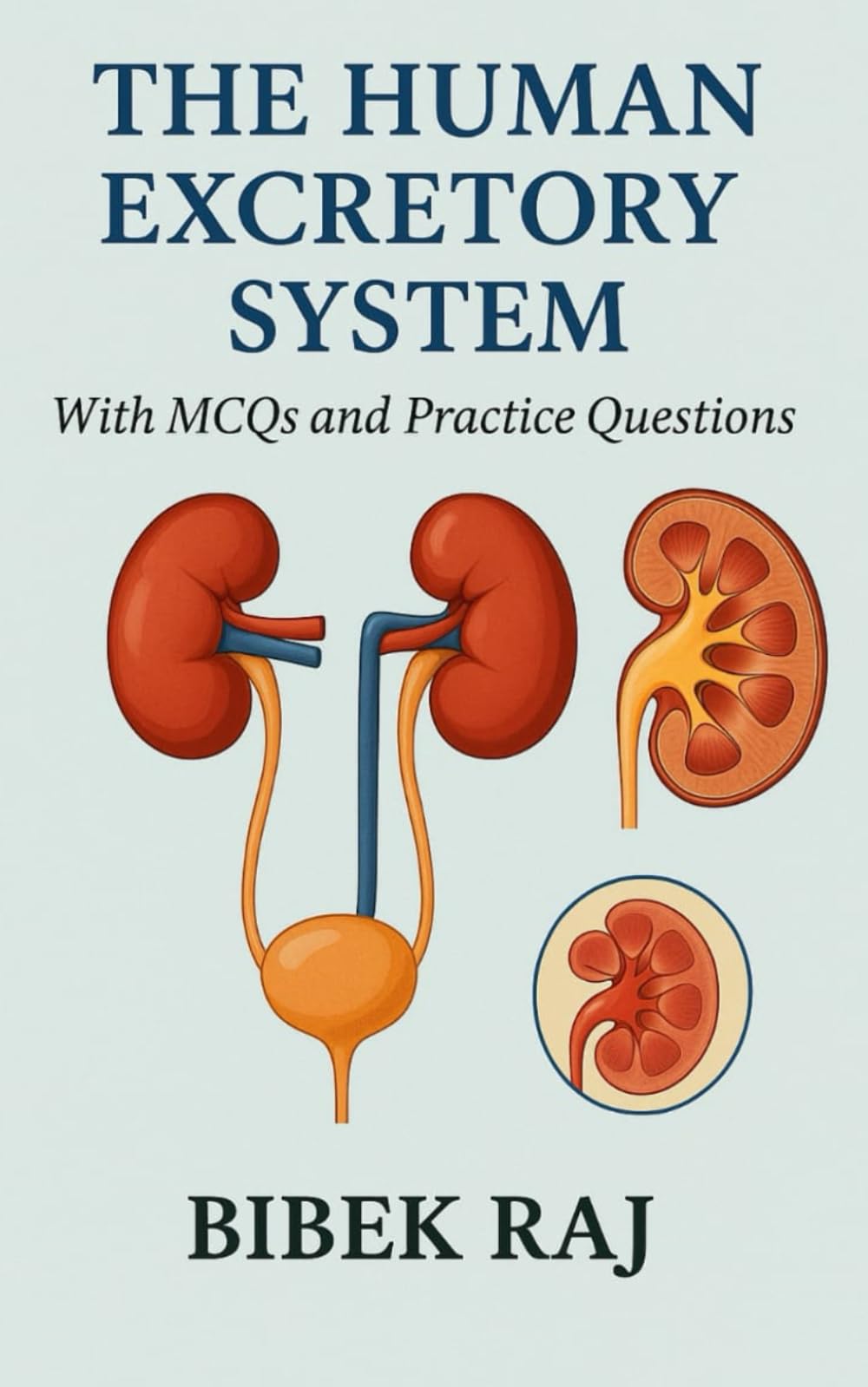 The Human Excretory System: It's structure and function (The Amazing Human Body)