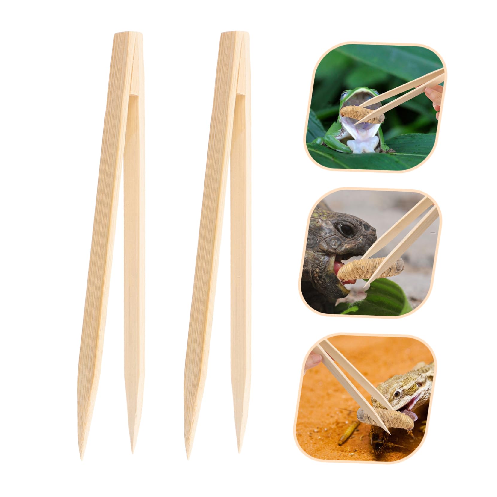 Amazon.co.jp: HAKIDZEL 爬虫類用給餌ピンセット 竹製ペットフード