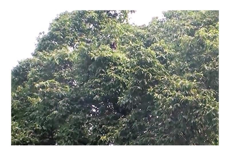 View 8