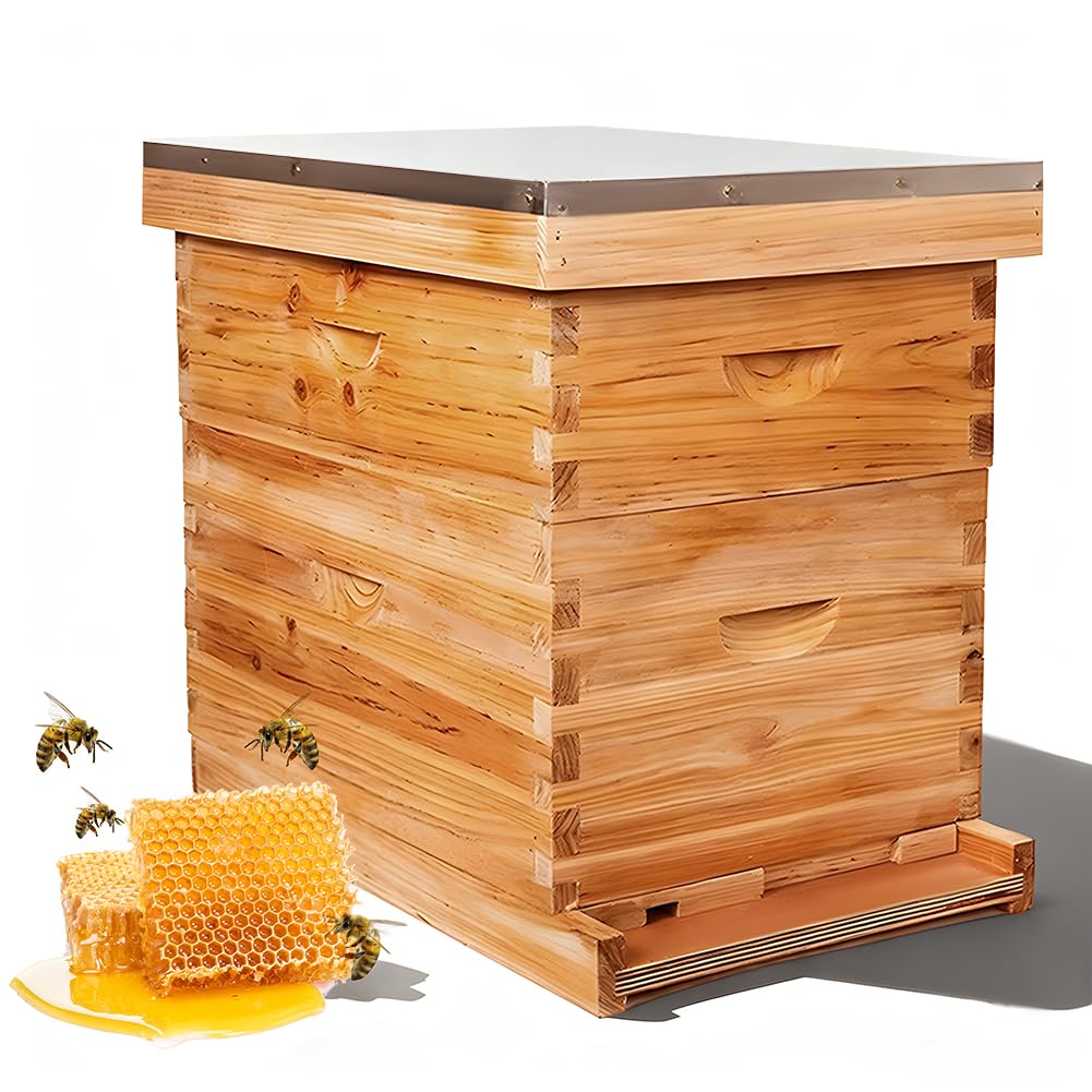 lot 10 cadres ruche cires d'abeille