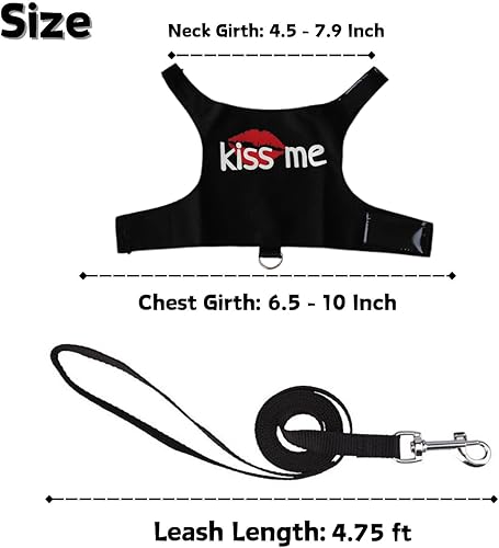 Bearded Dragon Harness and Leash Set - Adjustable Lizard Harness with Glow in The Dark Print Outdoor Traction Rope Walking Leash Reptile Halloween Costume Accessories for Small Pets (Black)(Black)