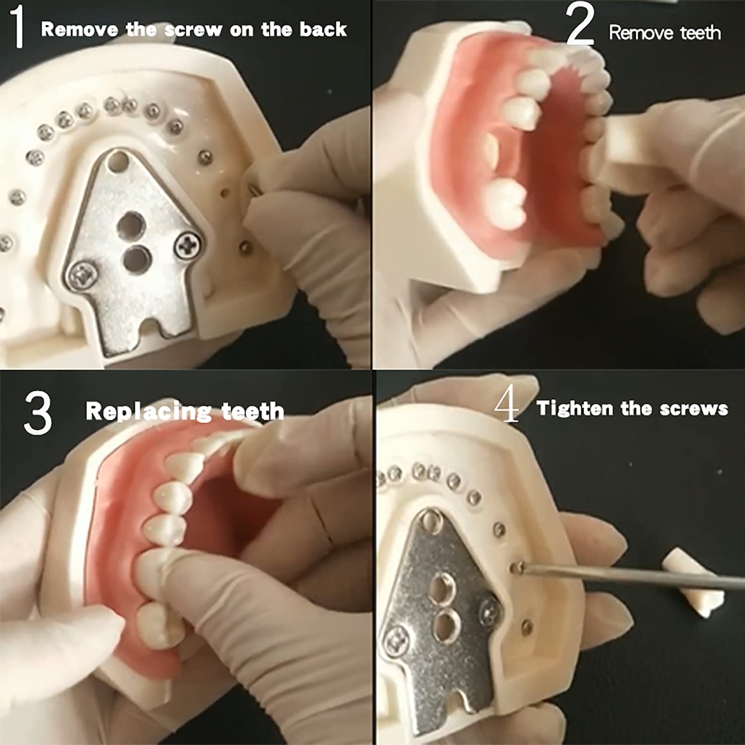Model dydaktyczny, model głowy symulator zębów model zębów można zainstalować na poduszce krzesła dentystycznego stomatologii zestaw narzędzi do nauczania kanału korzeniowego