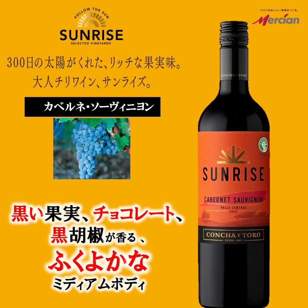 F.W.ムルナウ『サンライズ』クリティカル・エディション サンライズ クリティカル・エディション SUNRISE F・W・ムルナウ