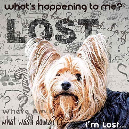 Image of The Blissful Dog Yorkshire Terrier Age Well Dog Aromatherapy Roll-On Bottle for Your Dog's Peaceful Ageing