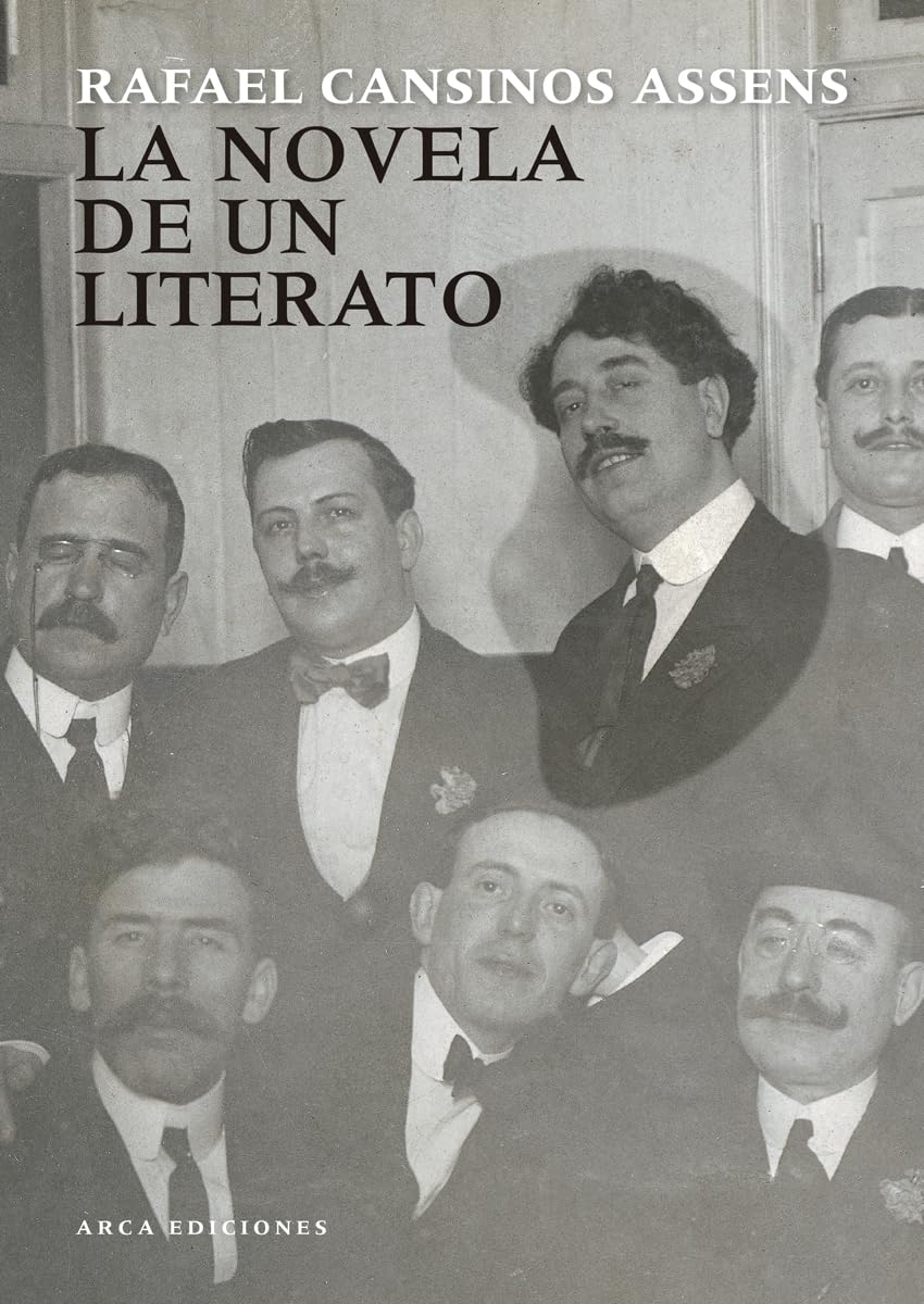 La novela de un literato (Arca Edición Especial)