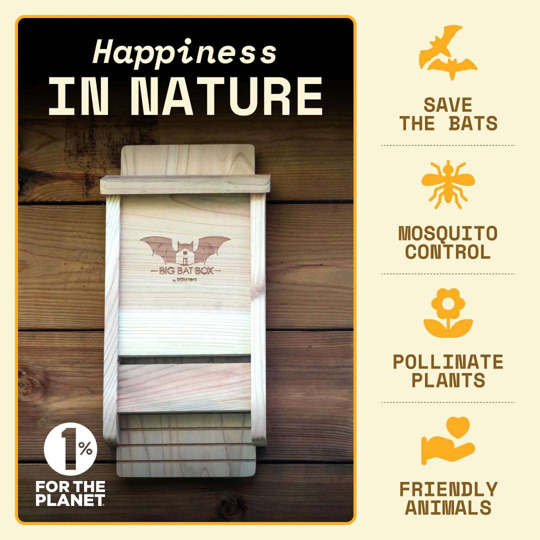 Wildyard Bat House For Outdoors - casa nera per pipistrelli all'aperto - Pulisci il tuo cortile dalle zanzare - Bat Box senza vernice all'interno - Una camera da letto per pipistrelli