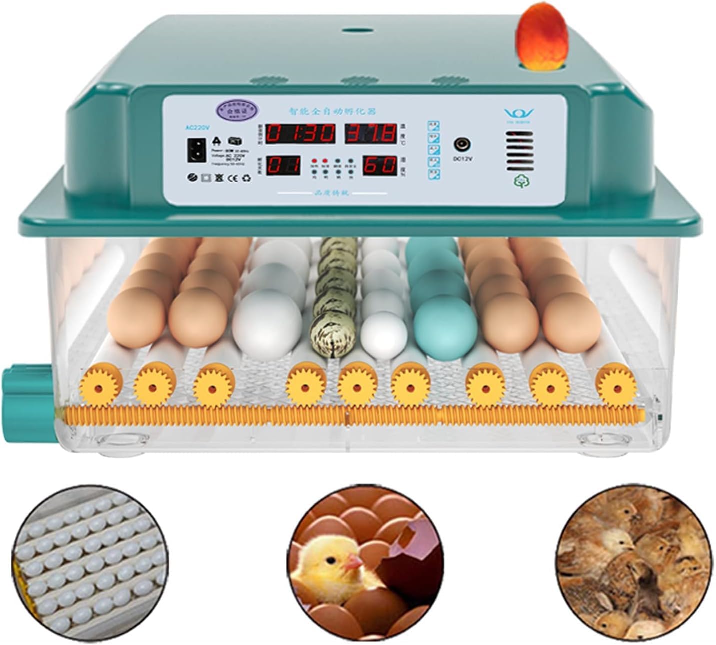 Inkubatory Inkubator do jaj, automatyczny inkubator do drobiu na 9 jaj z automatyczną kontrolą temperatury dla kur, kaczek, gęsi, żółwi i innych ptaków.(Single power supply)