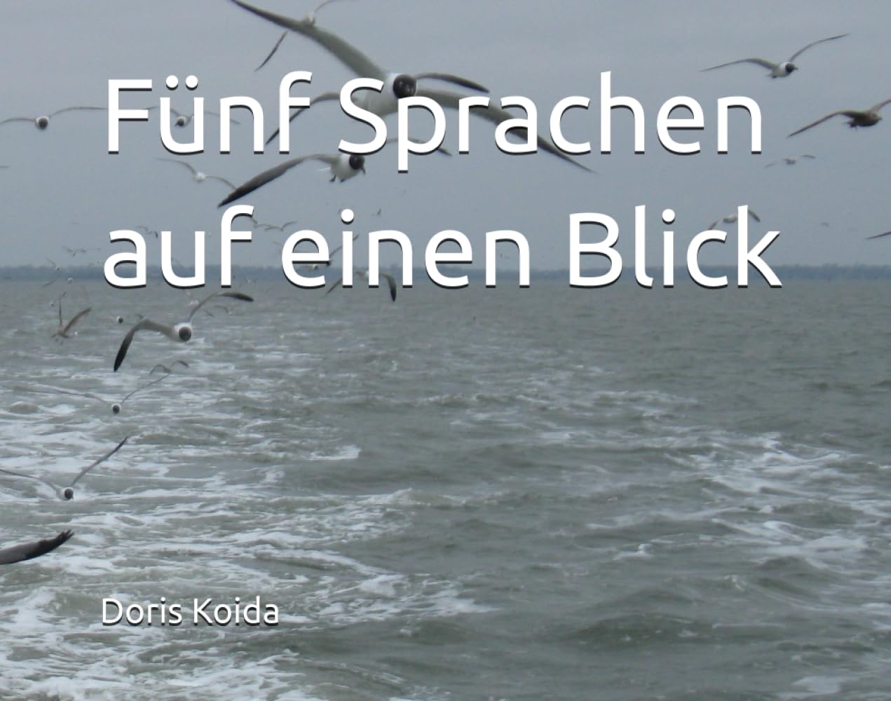 Fünf Sprachen auf einen Blick