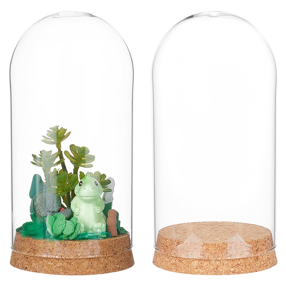 Amazon.com: BENECREAT 2 Sets 3.15x6.3 Inch Glass Display Dome with