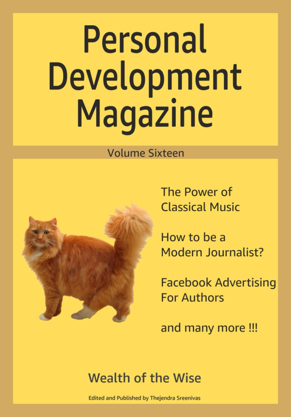 Personal Development Magazine - Volume Sixteen: Wealth of the Wise
