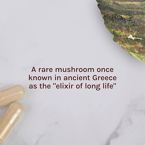 Miniatura 6 de Host Defense Agarikon Cápsulas apoyo inmunológico equilibrado suplemento de hongos 60 cápsulas sin sabor