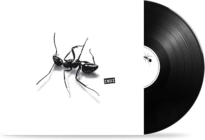 Indi por Gazzelle — capa do álbum