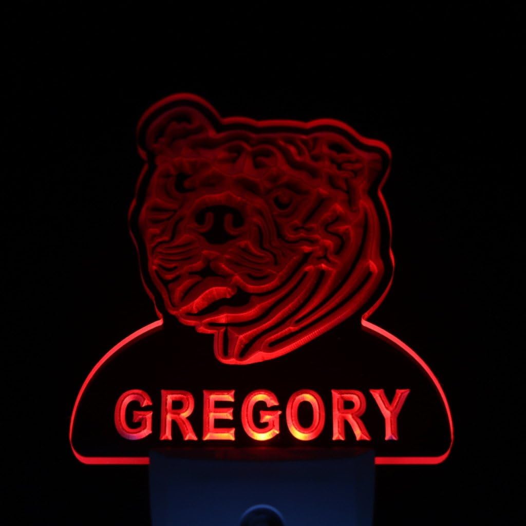 ADVPRO ws1059-tm Bull Dog Personalized Night Light Name Day/Night Sensor LED Sign