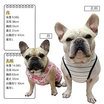 Amazon | 【24HOURS】フレンチブルドッグ フレブル タンクトップ