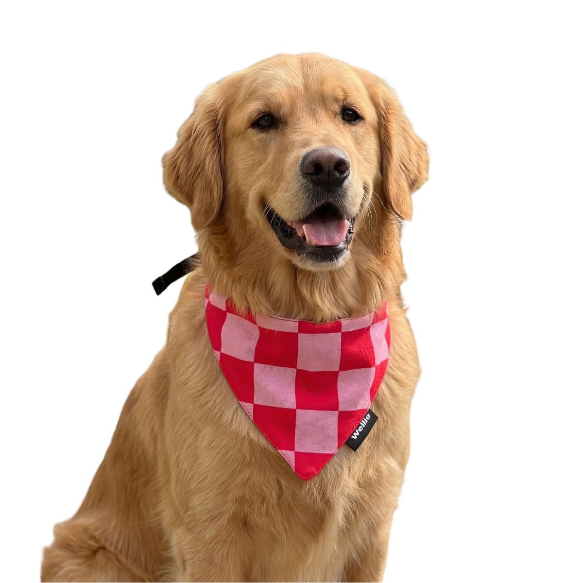 Wellie Dog Scarf for Dogs | Stylish Breathable Pet Bandana & Puppy Scarf for Small to Large Dogs | Soft Cotton, Adjustable & Durable | Perfect for Walks, Photoshoots Pink & Red-image-17
