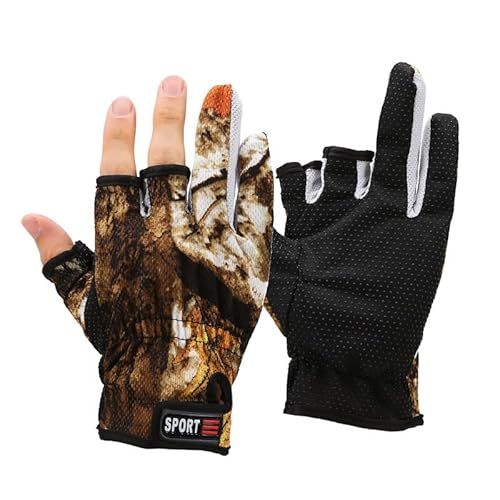 ^vVbv? ނp w3{o t[TCY h tBbVOO[u A[ނ ~  ()