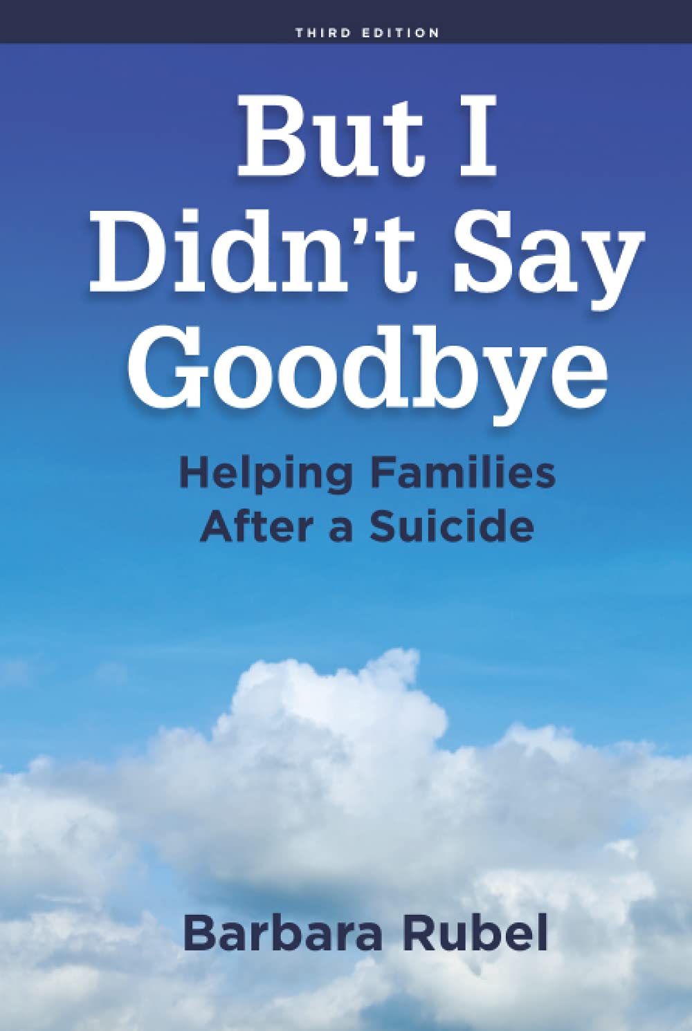 But I Didn’t Say Goodbye: Helping Families After a Suicide