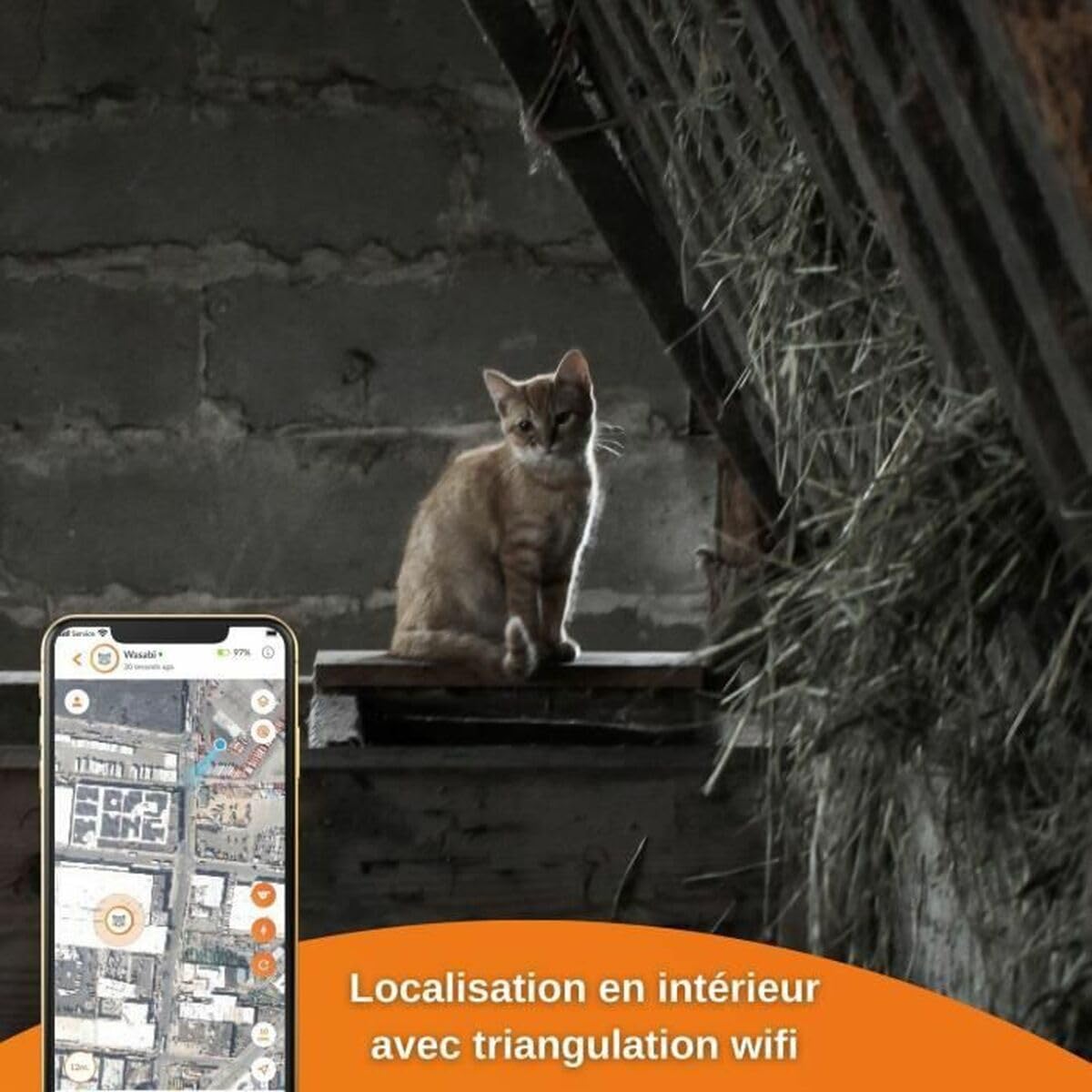 Weenect Collier GPS pour Chat XS (Black Edition 2023) | Suivi GPS en Temps réel | Plus Petit modèle du marché | Fonctionne avec abonnement | Garantie à Vie