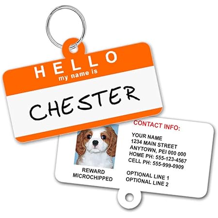 personalized dog carrier