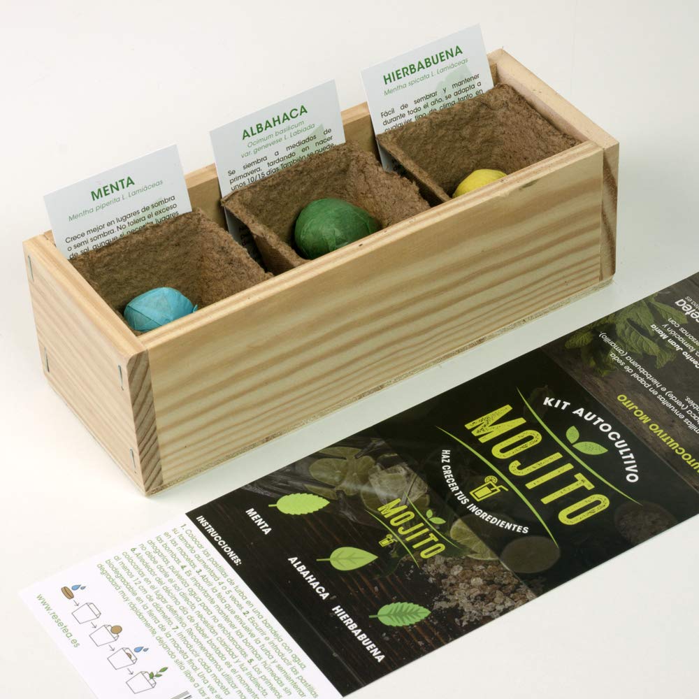 Kit Autocultivo