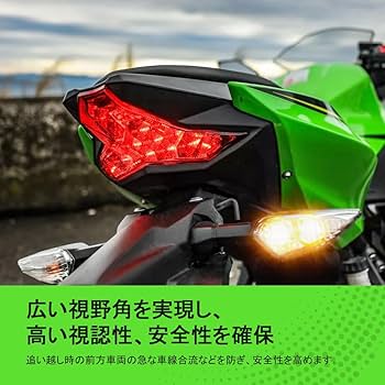 にゃんとまぁ～(ФωФ) Amazon.com: GZYF 1 對摩托車後轉向信號指示燈煙霧鏡頭,適用於