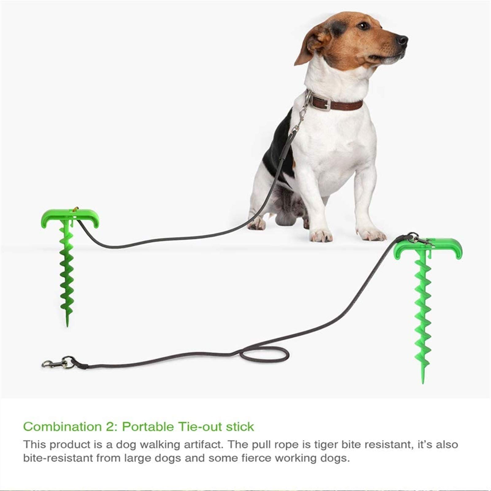 Cavo Per Cani Blu Con Gancio Girevole A Molla, Resistente, Per Esterni, Per Cani Da Campeggio, Fino A 226,8 Kg (3 M - Foto 10