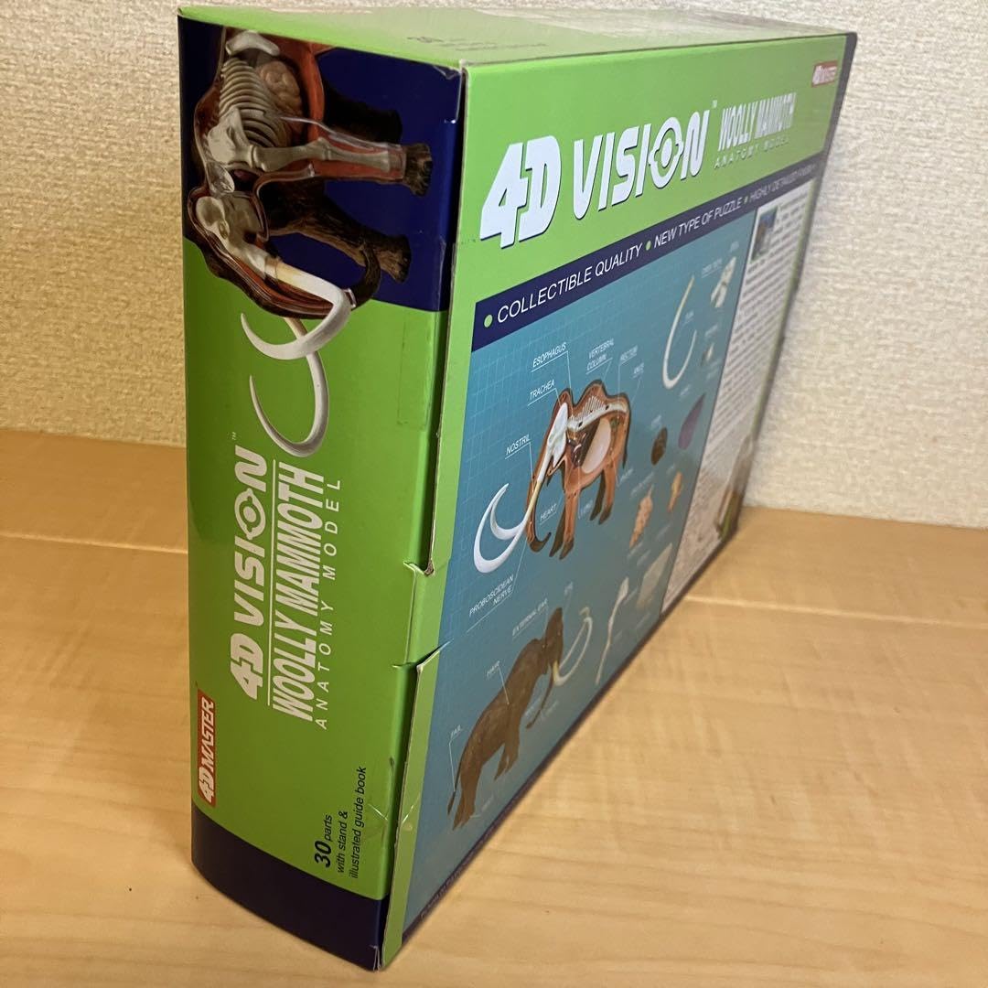 Amazon.co.jp: 4D VISION 解剖 立体パズル マンモス : おもちゃ