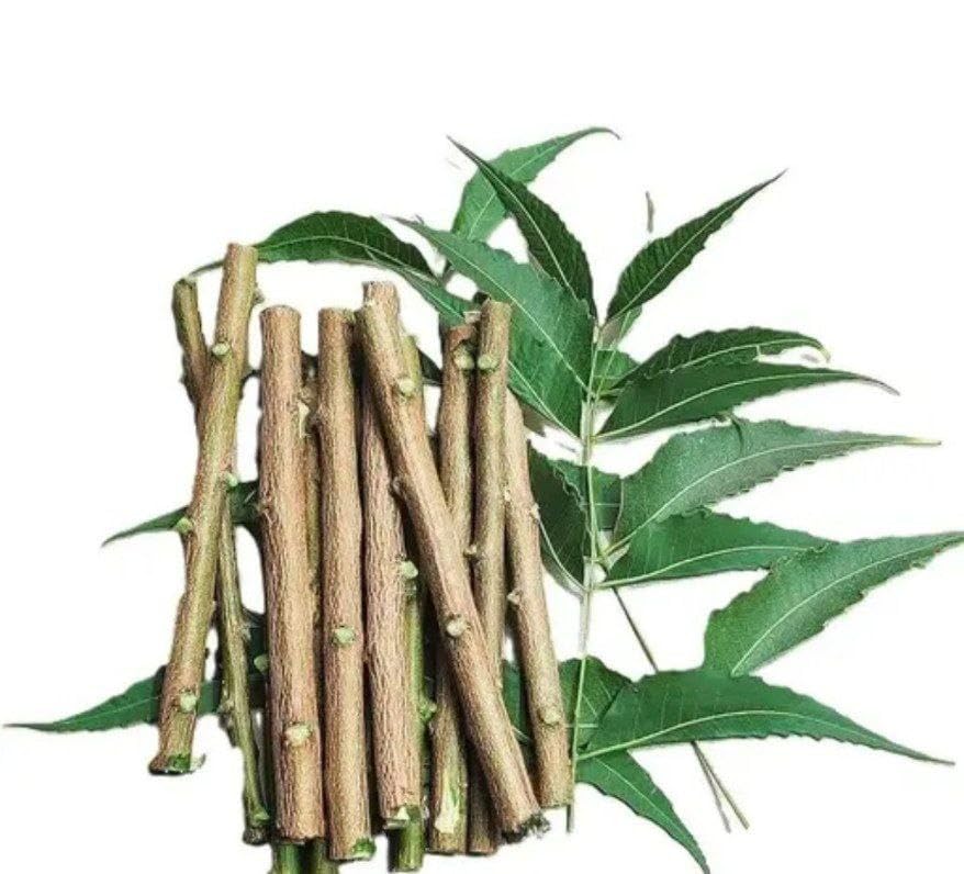 Neem Healthy Stick Natural Ayurvedic Tooth Stick for Teeth and Gum Care, Fresh Neem Chewing Twig 7 Inch (20 Healthy Stick)-picture-35