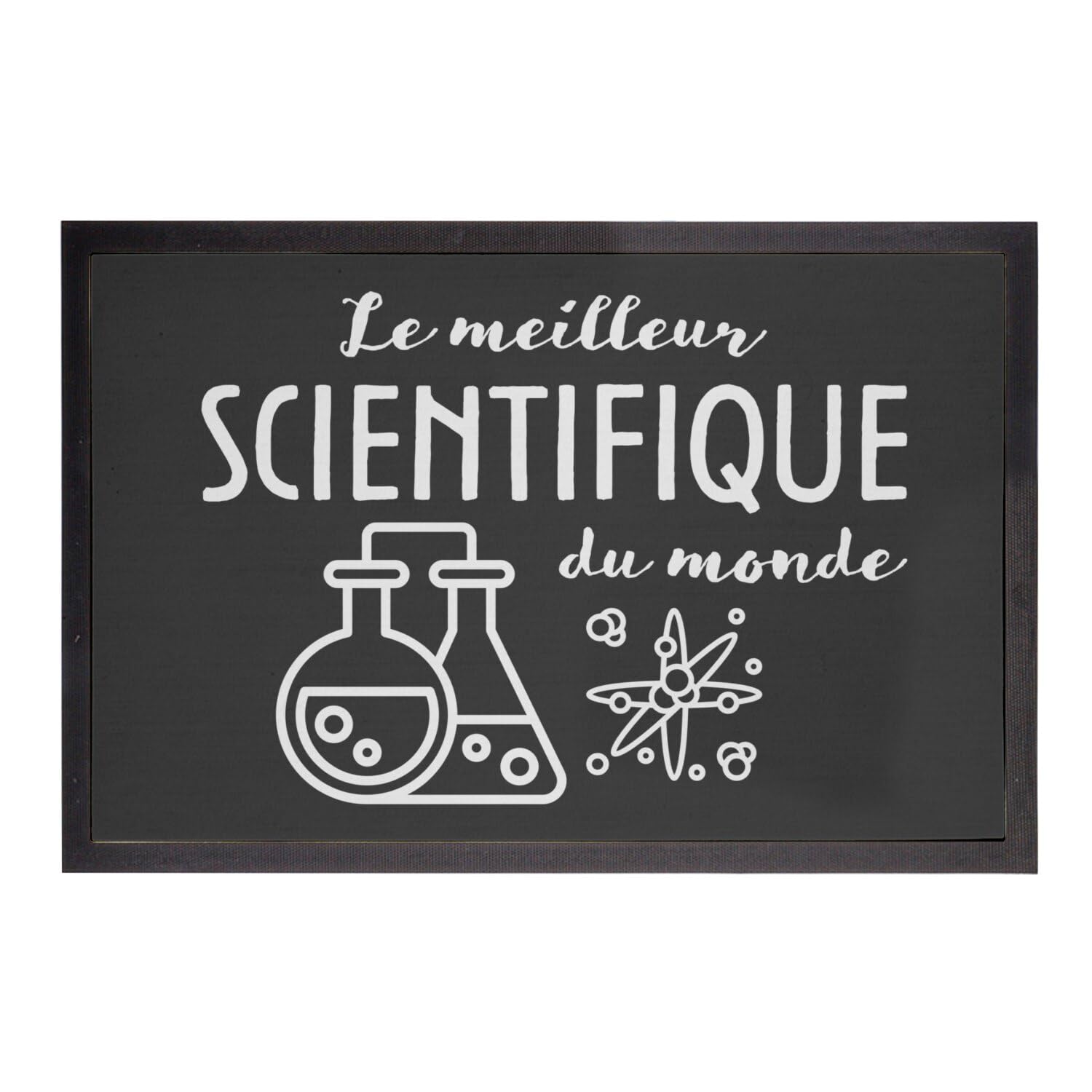 Paillasson décoration science entrée maison paillasson noir Einstein