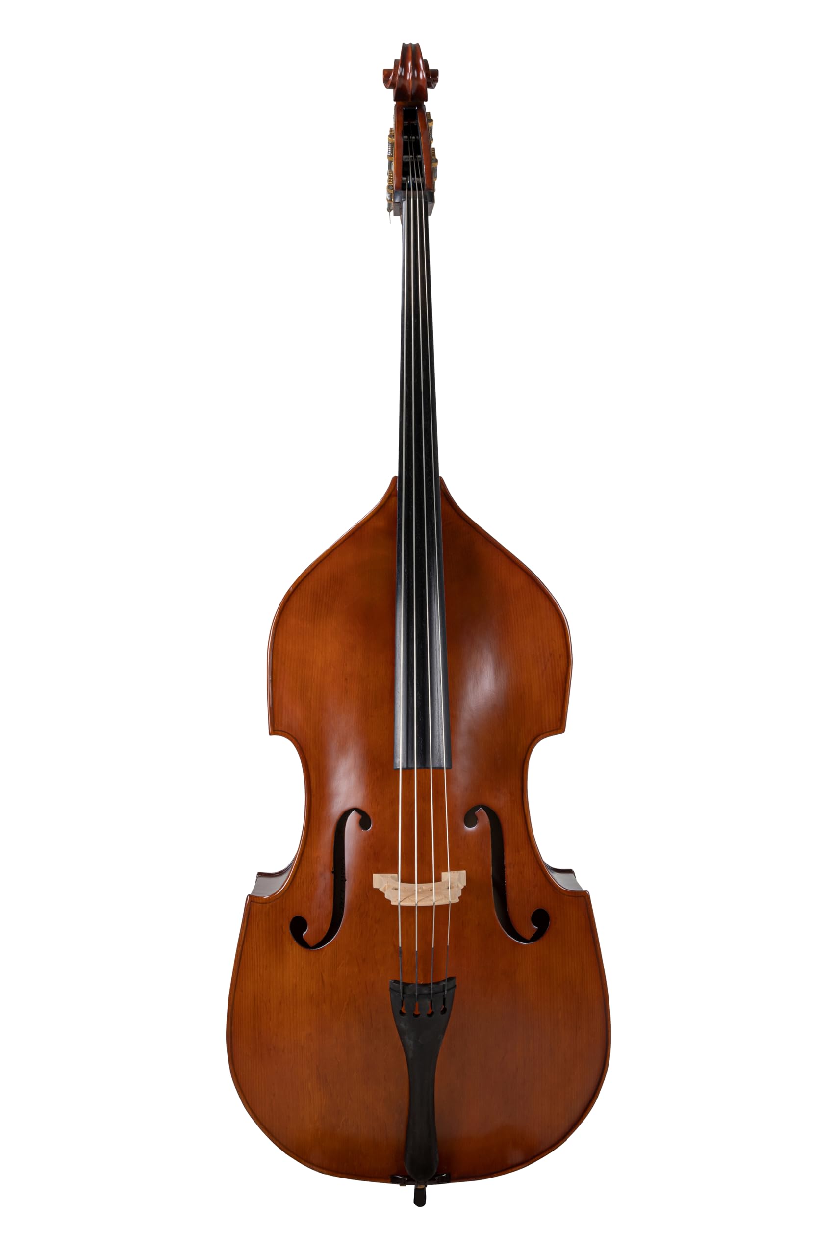 Contrabbasso GEWA - Basic Line 1/8 - Semisolido - tavola in abete massiccio - fondo/fasce in acero laminato - forma a viola - marrone dorato - pronto per suonare