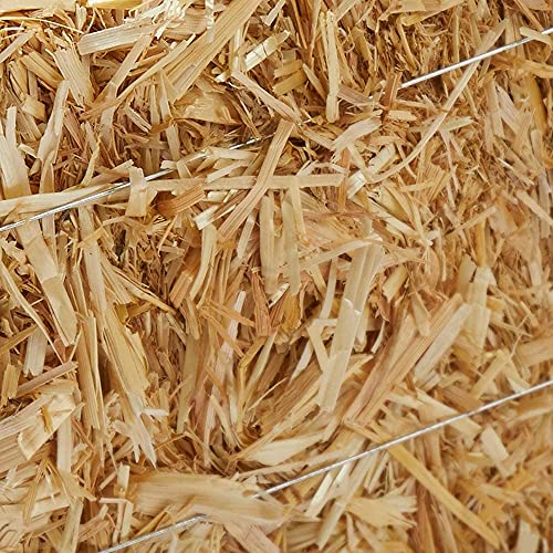Floracraft Straw Bales, 5-Inch-By-6-Inch-13- Inch Bale #TOP2
