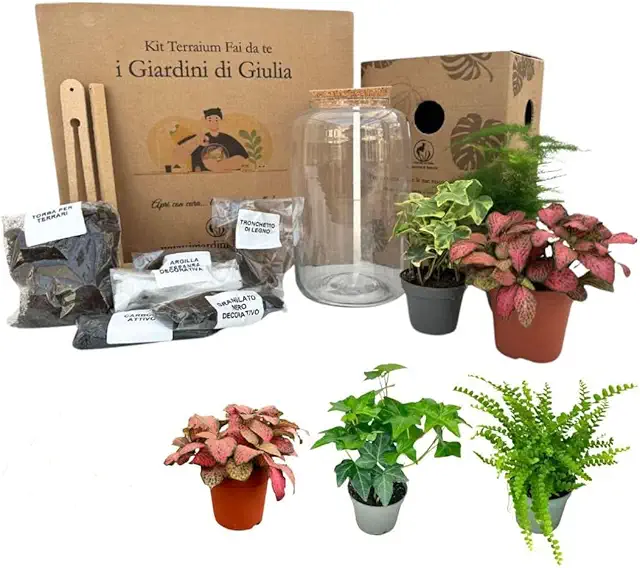 Kit Terrarium Fai-da-Te Autosufficiente con 3 Piante Vere per Casa e Ufficio