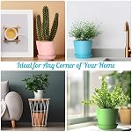 Cute 8 Pc Plastic Flower Pots - 3.8" Succulent & Herb Planters for Indoor Nursery