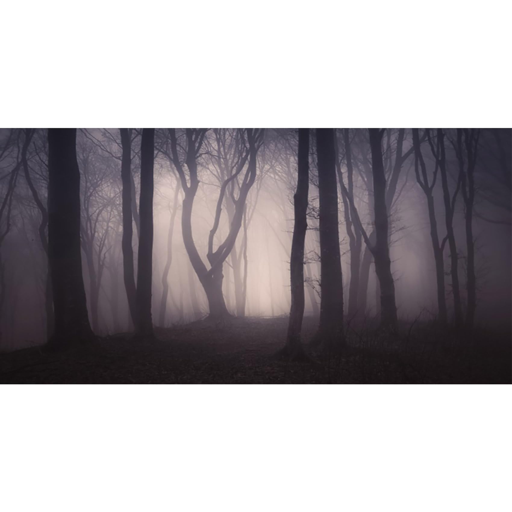 MIRRORANG 91x50cm Spooky Aquarium Background Branches Trees Mist Forest Scary Night Vinyl Durable Fish Tank Background