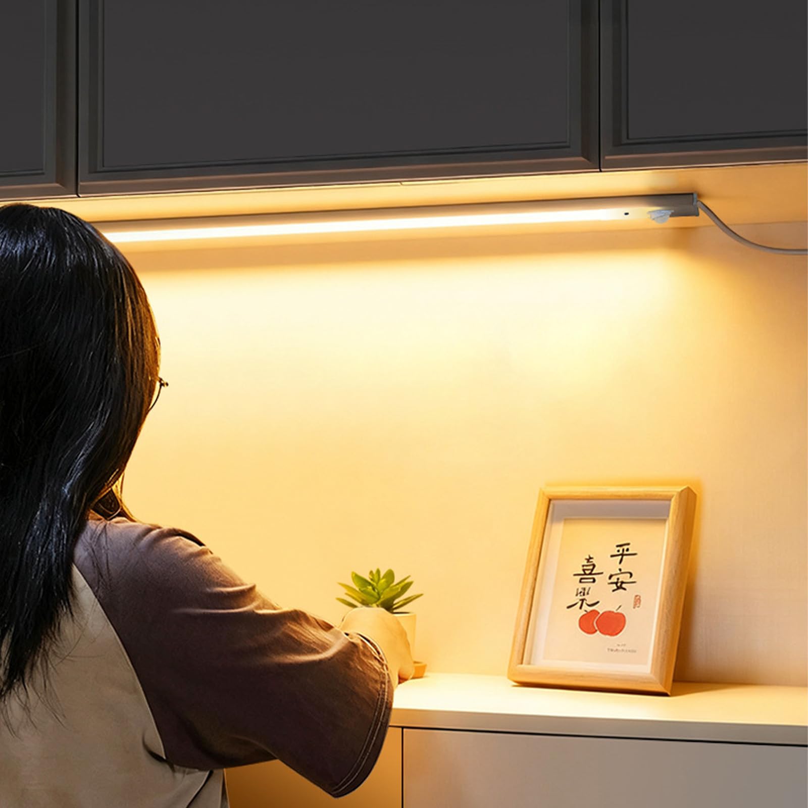 LED Wandleuchten mit Schalter und Steckkabel Wandbeleuchtung mit Bewegungsmelder Unterbauleuchte 3 Farbtemperatur Dimmbar Wandleuchte für Wohnzimmer Schrank Werkbank Küche (Silber,80cm)