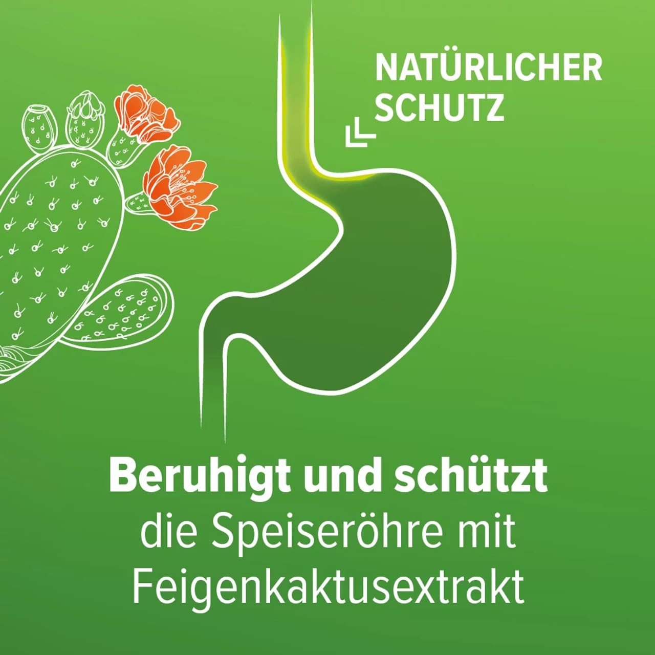 Refluthin bei Sodbrennen | 16 +16 Kautabletten in Frucht- und Minzgeschmack | Medizinprodukt | Reflux-Beschwerden & Sodbrennen | neutralisiert überschüssige Magensäure | vegan & glutenfrei