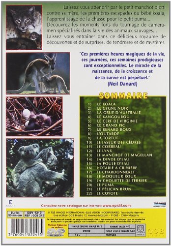 Amazon Com Coffret Bebes Animaux Coffret 3 Dvd Movies Tv