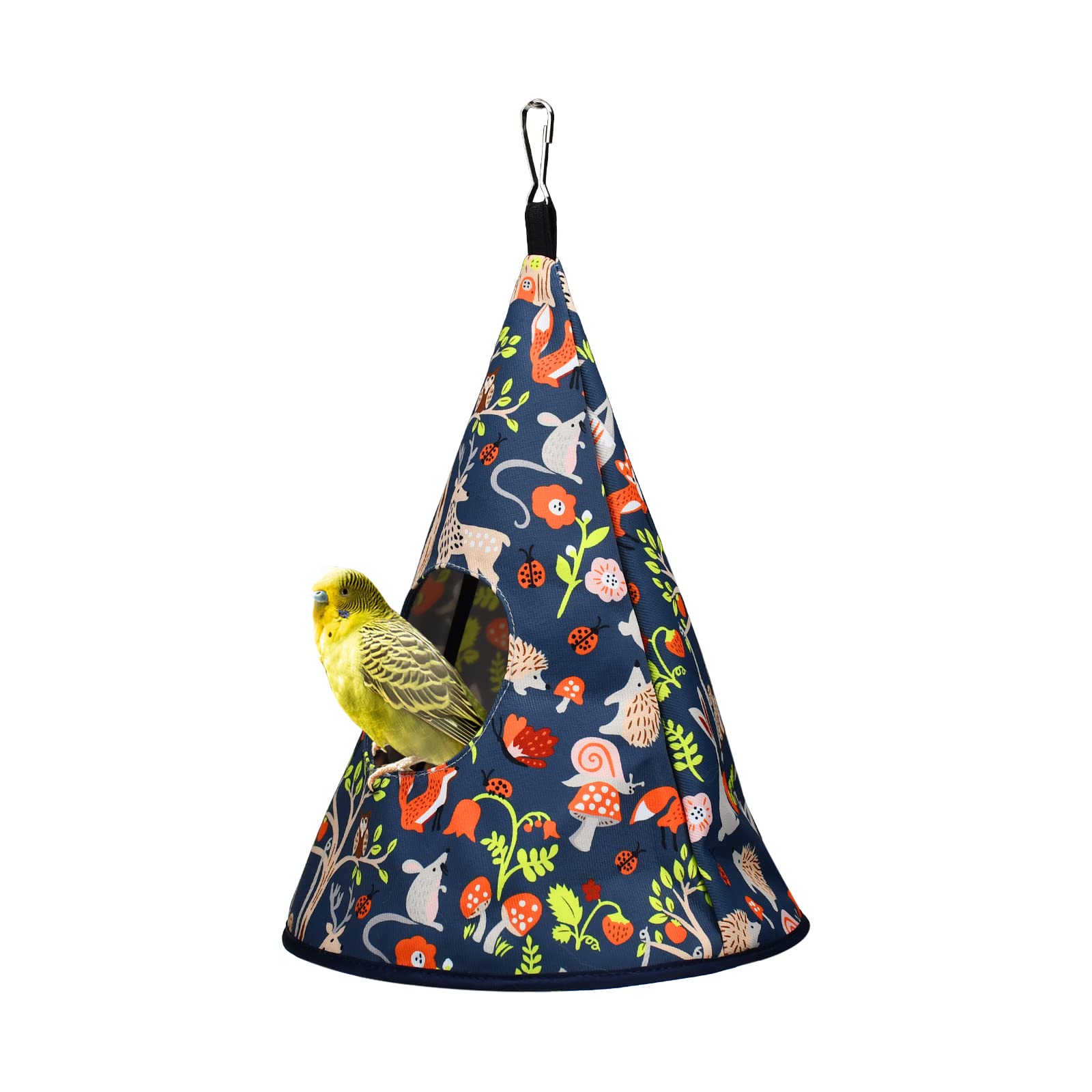 10 Best Parrot Bird Houses for Your Feathered Friends Hummingbirds Plus