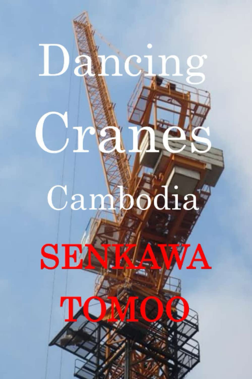 Dancing Cranes Cambodia: Dancing Cranes Cambodia