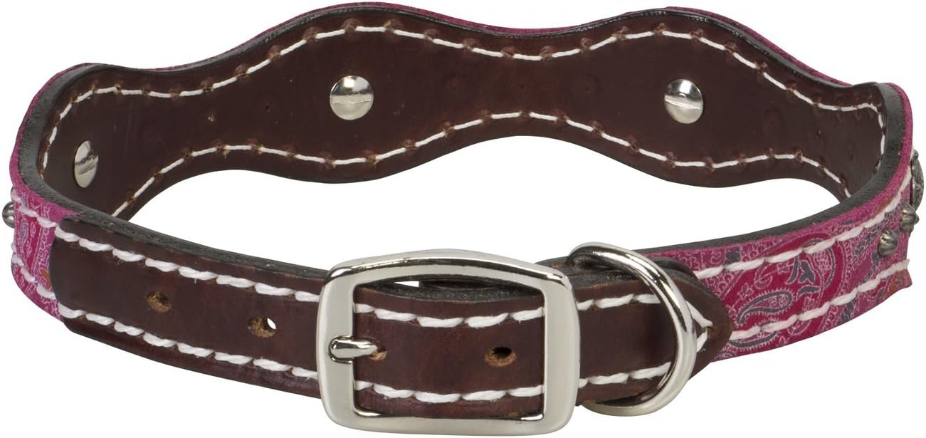 Weaver Leather Vintage Paisley Collar